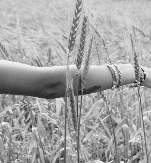 arm in a wheat field